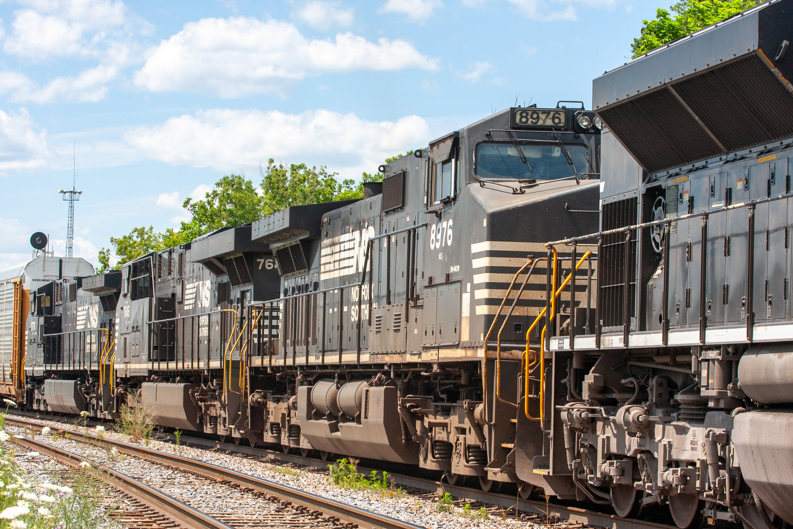 NS 8976