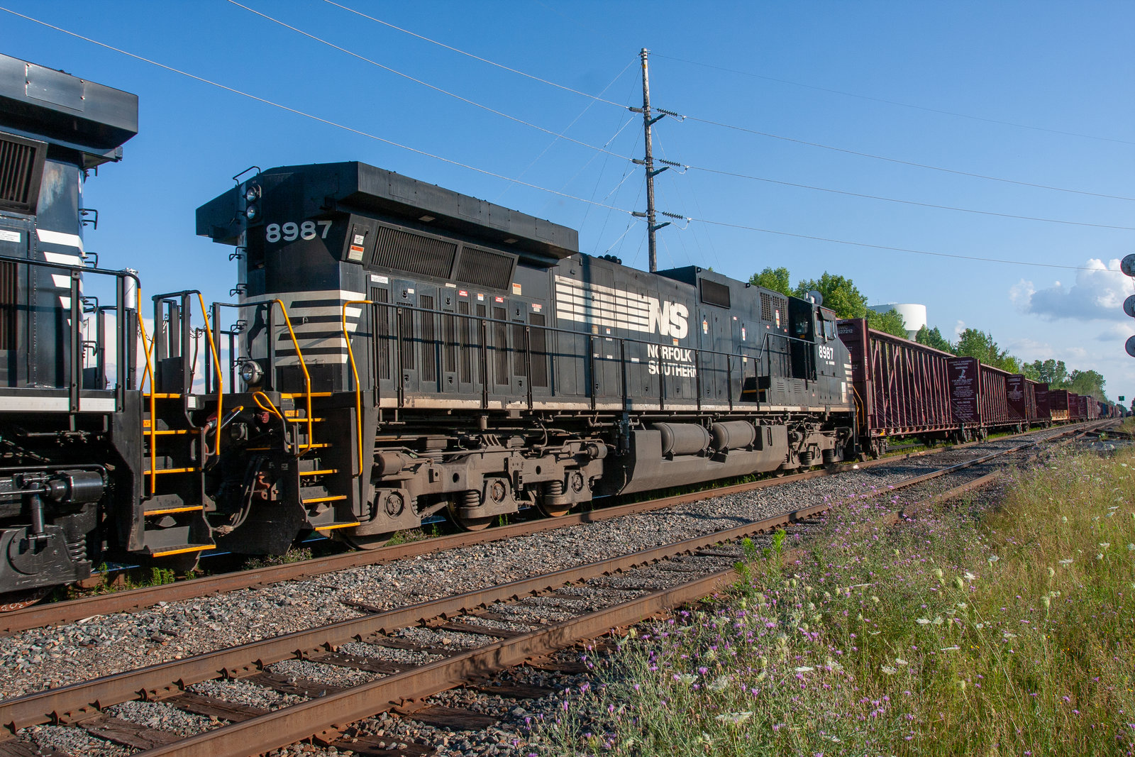 NS 8987