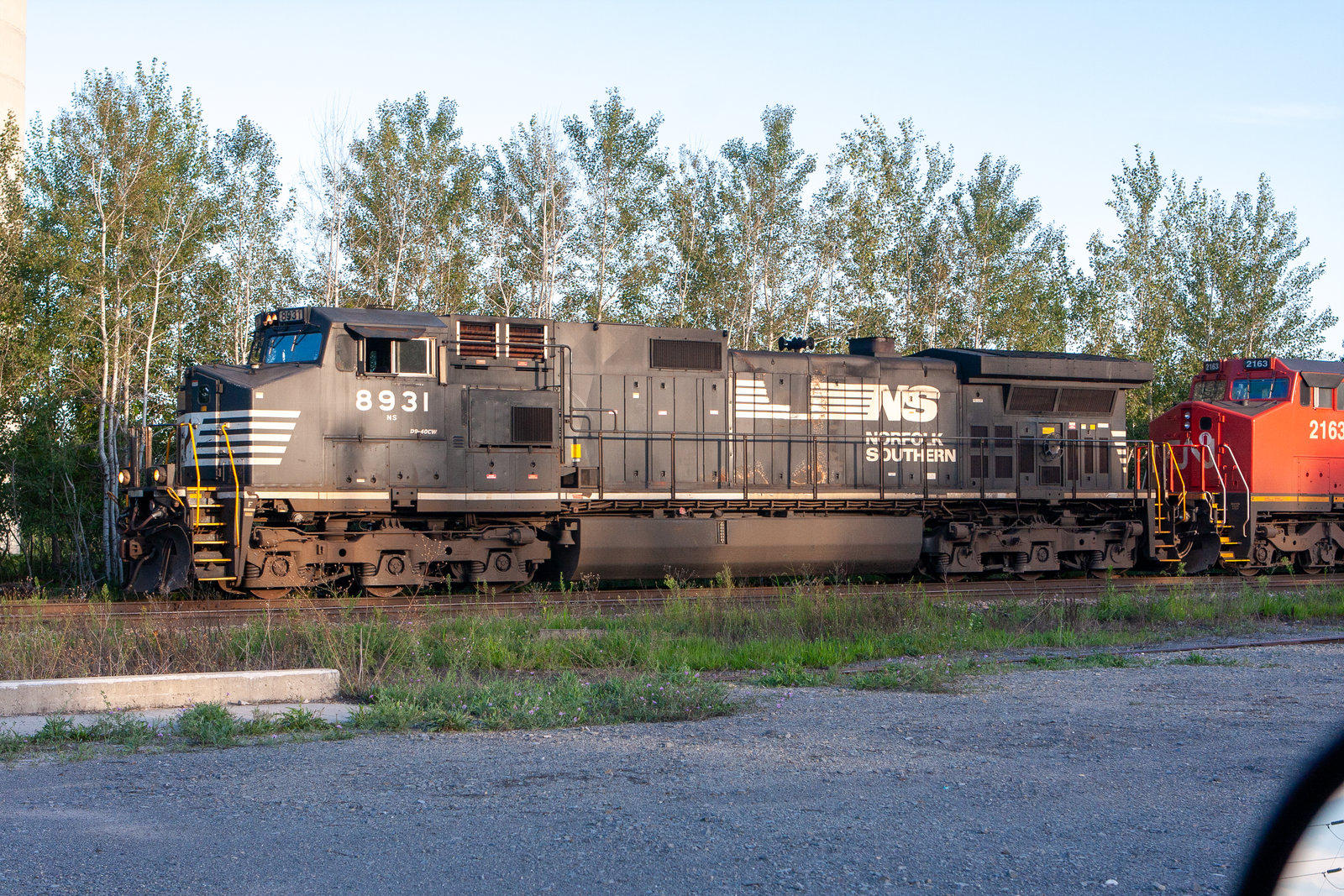 NS 8931