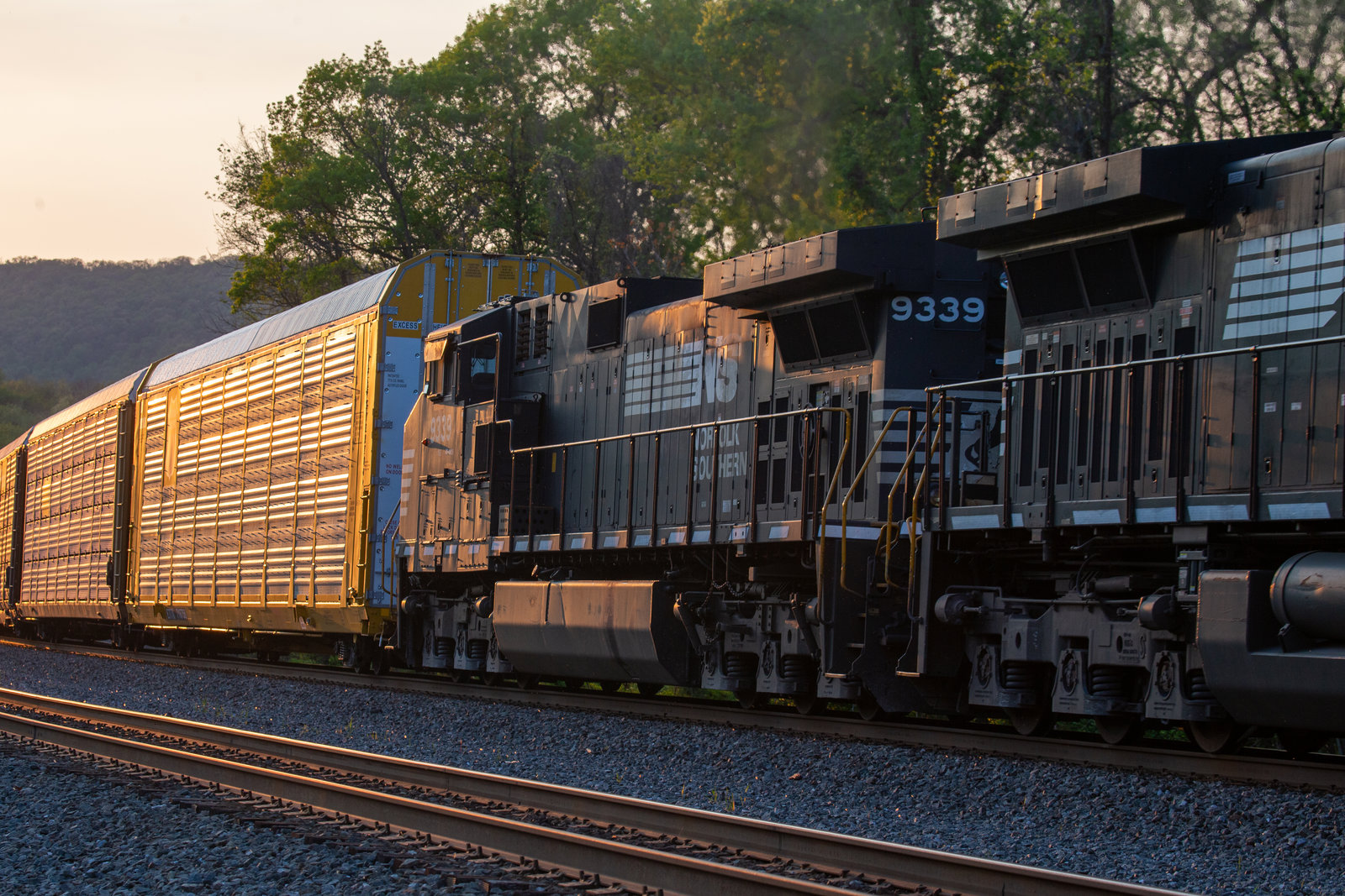 NS 9339