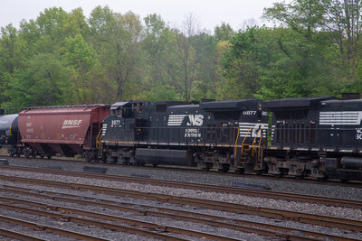 NS 9877