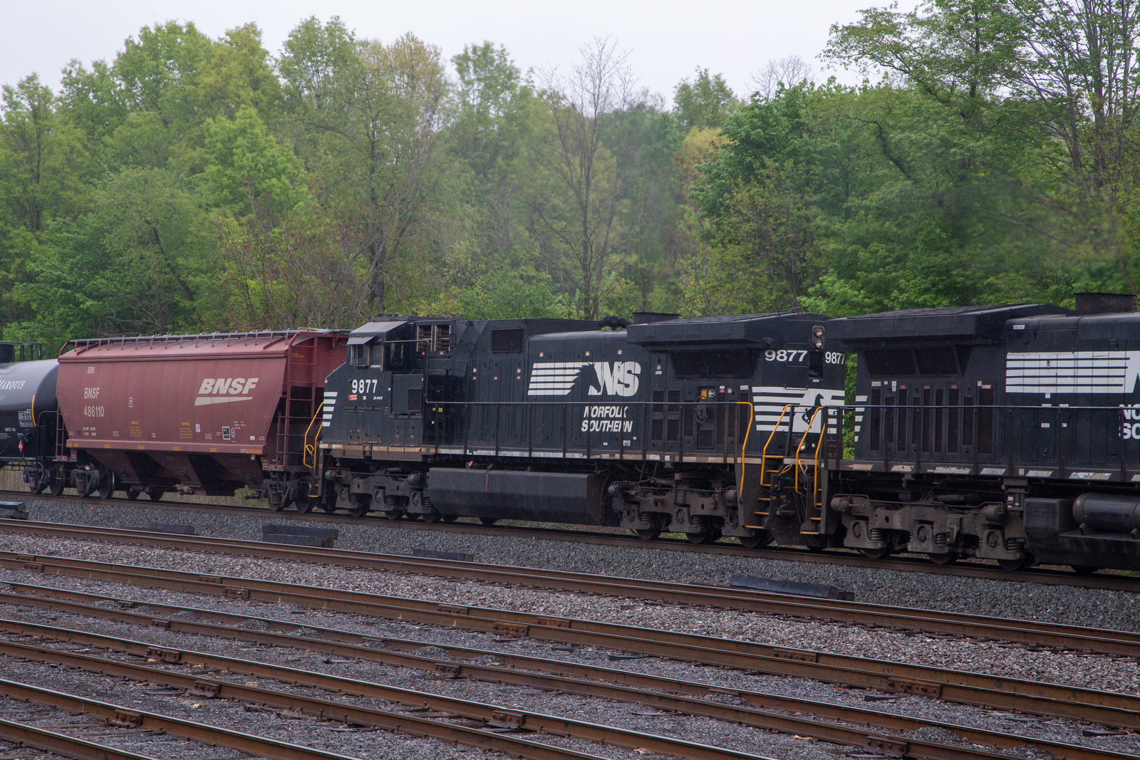 NS 9877