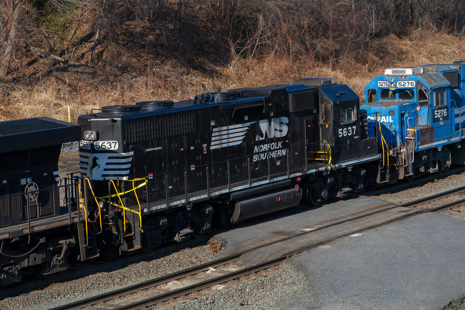 NS 5637