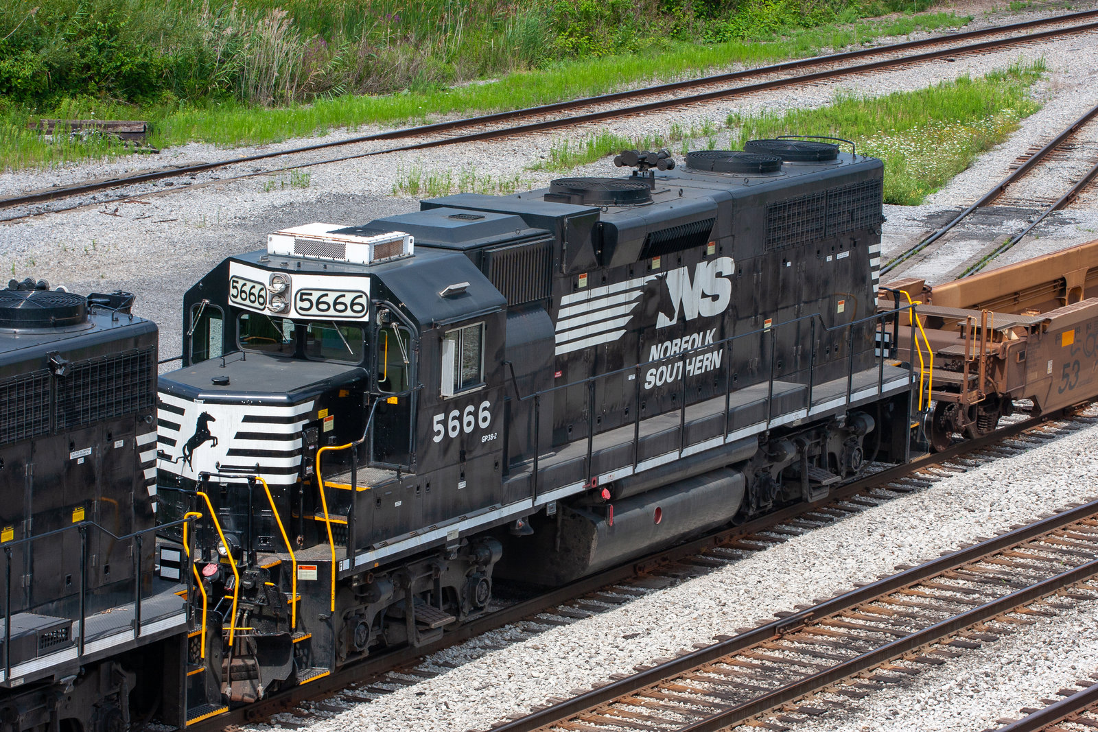 NS 5666