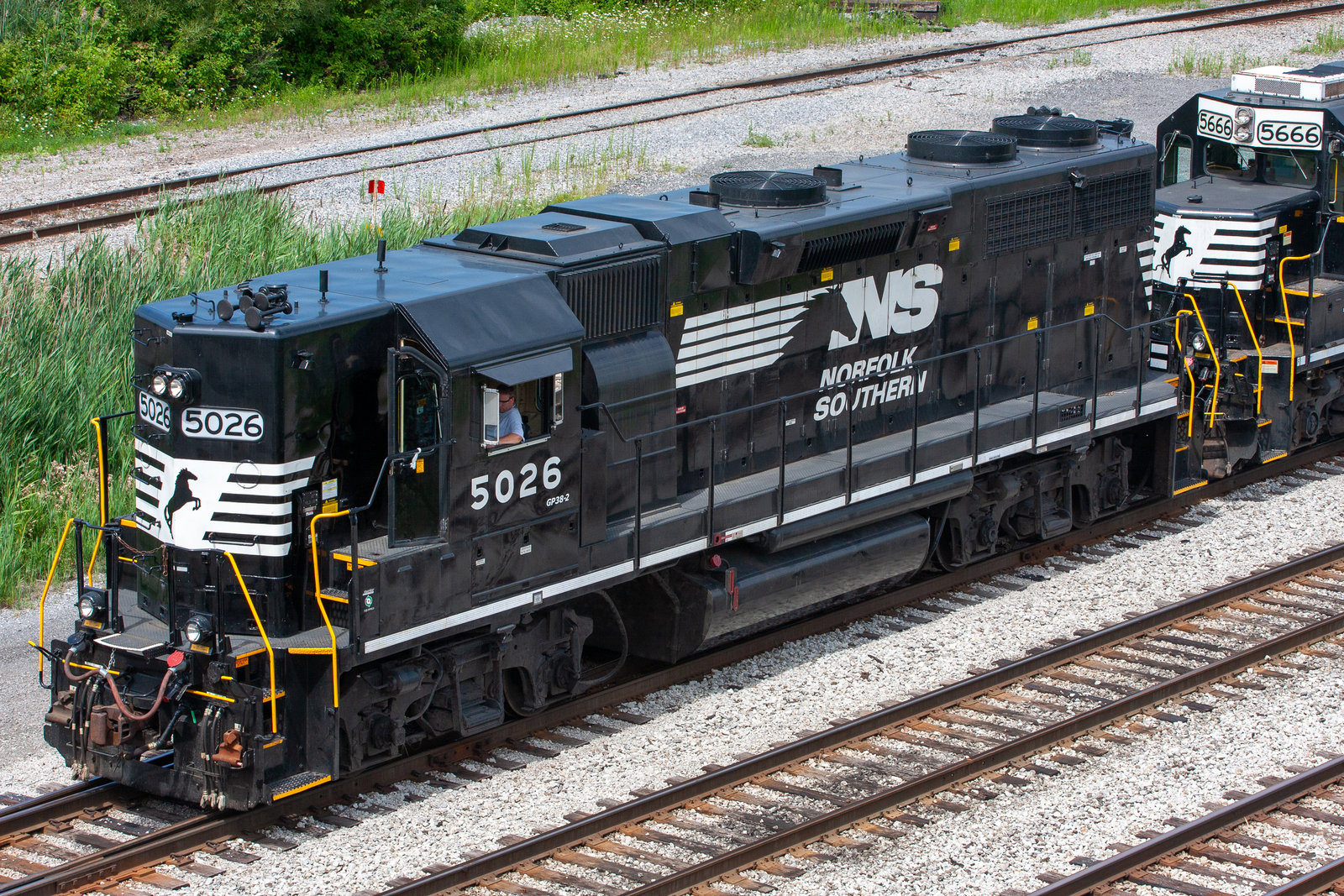 NS 5026