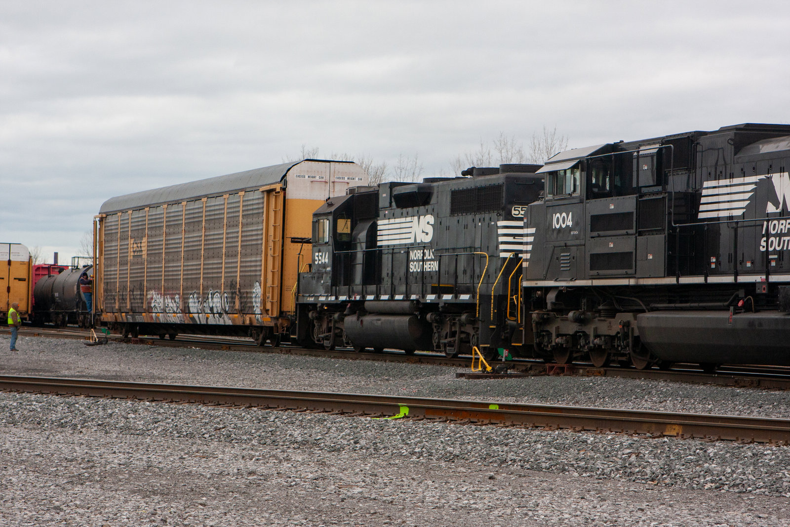 NS 5544