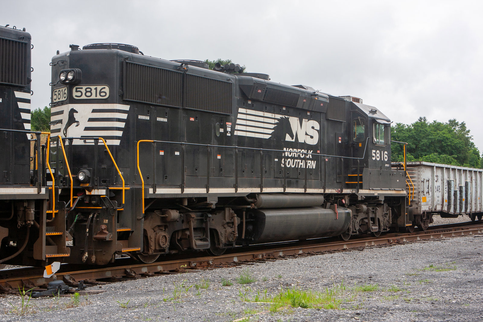 NS 5816