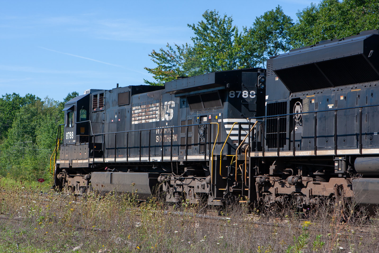 NS 8788