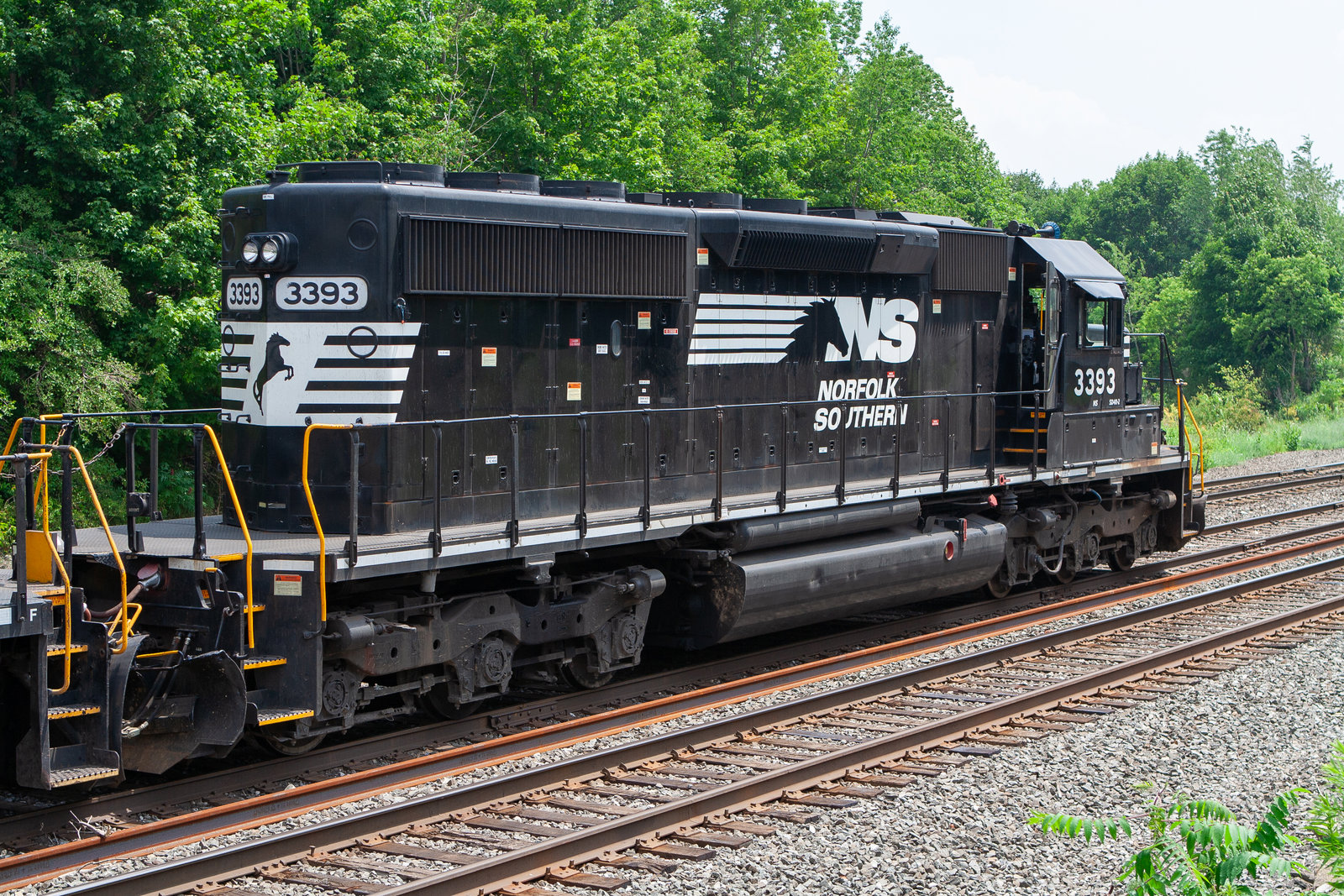 NS 3393