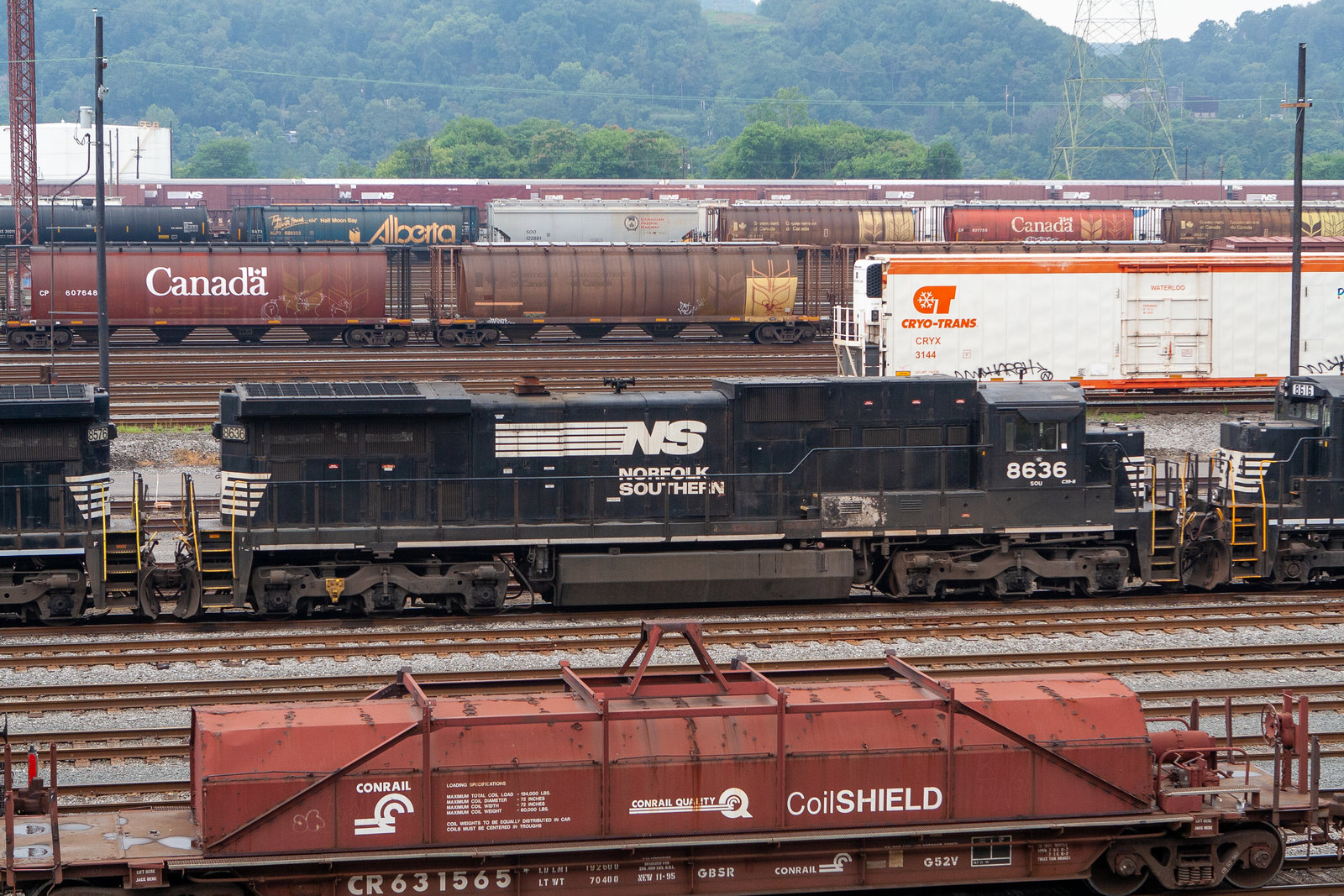 NS 8636
