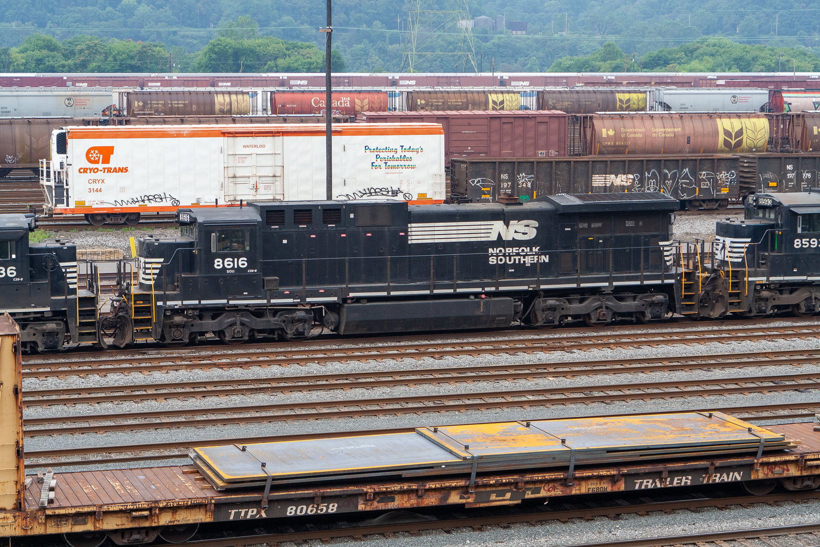 NS 8616