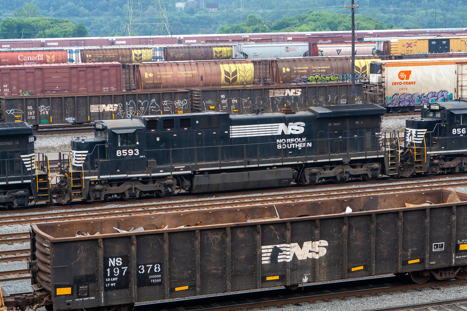 NS 8593