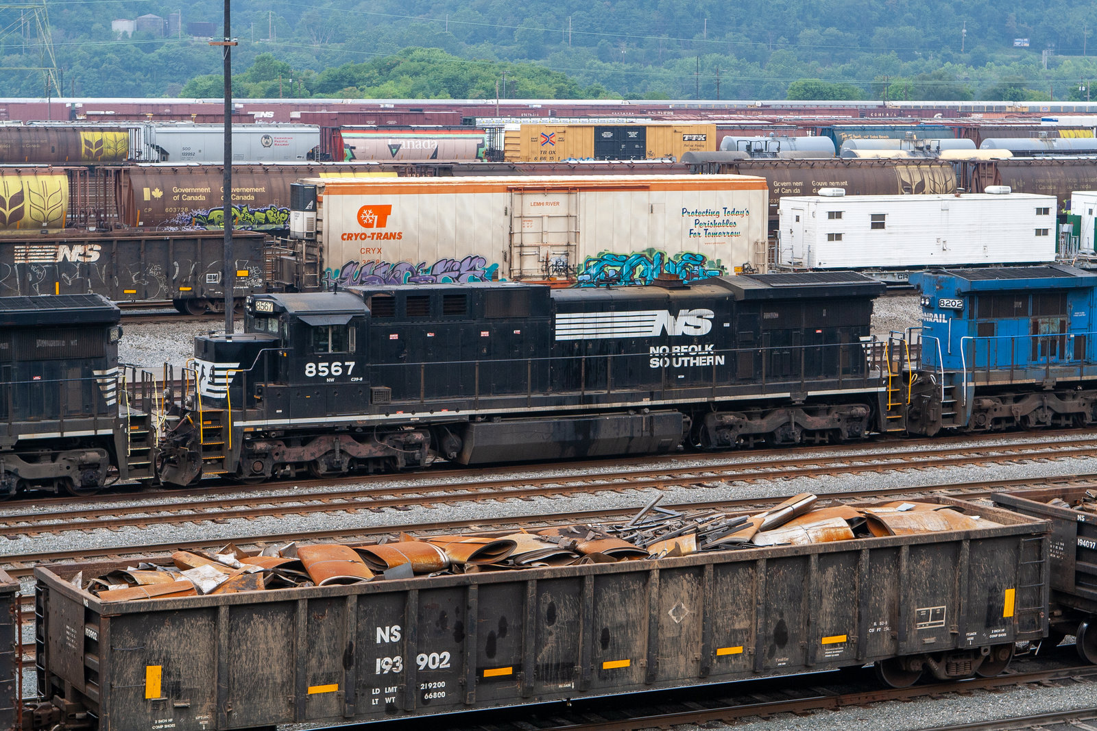 NS 8567