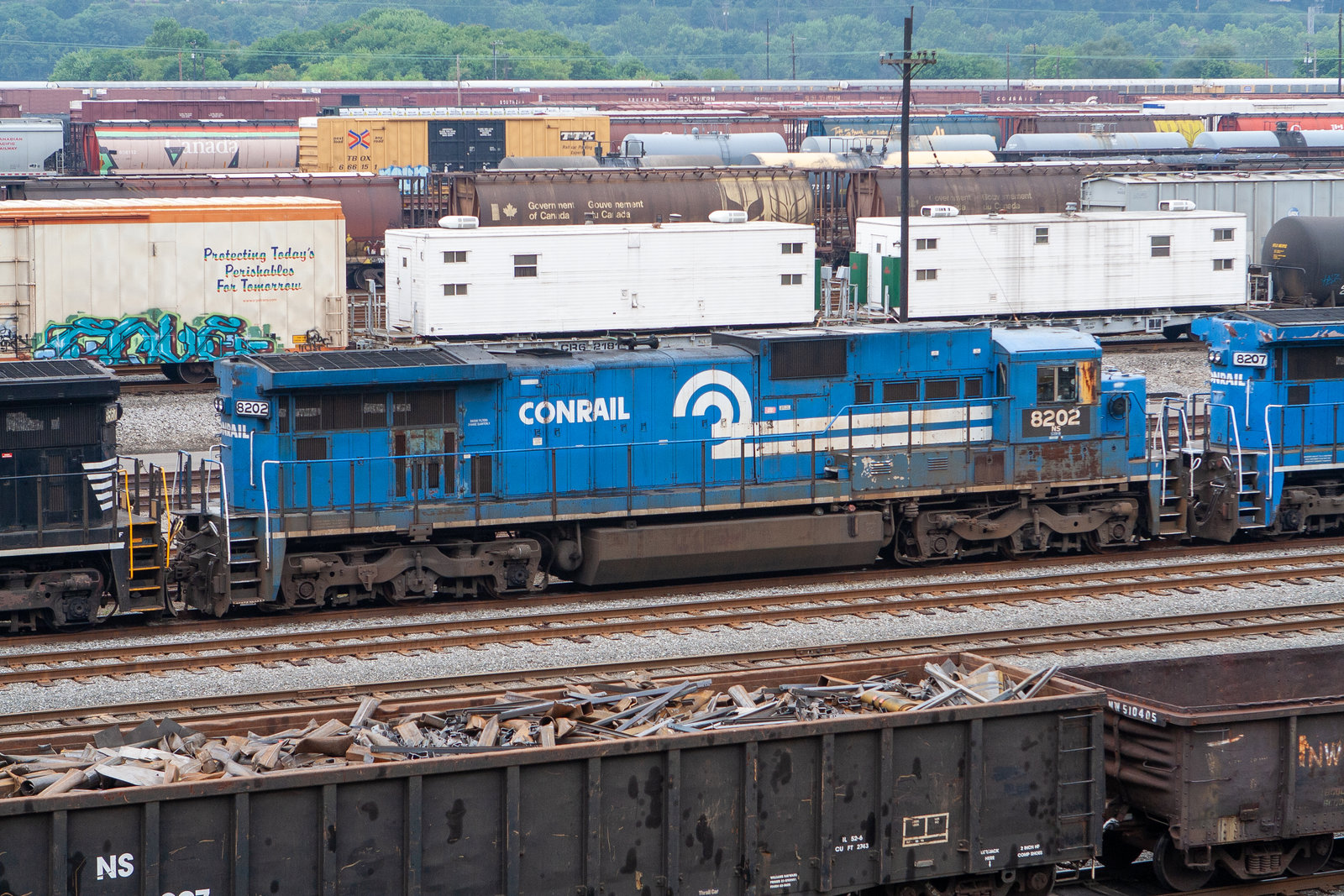 NS 8202