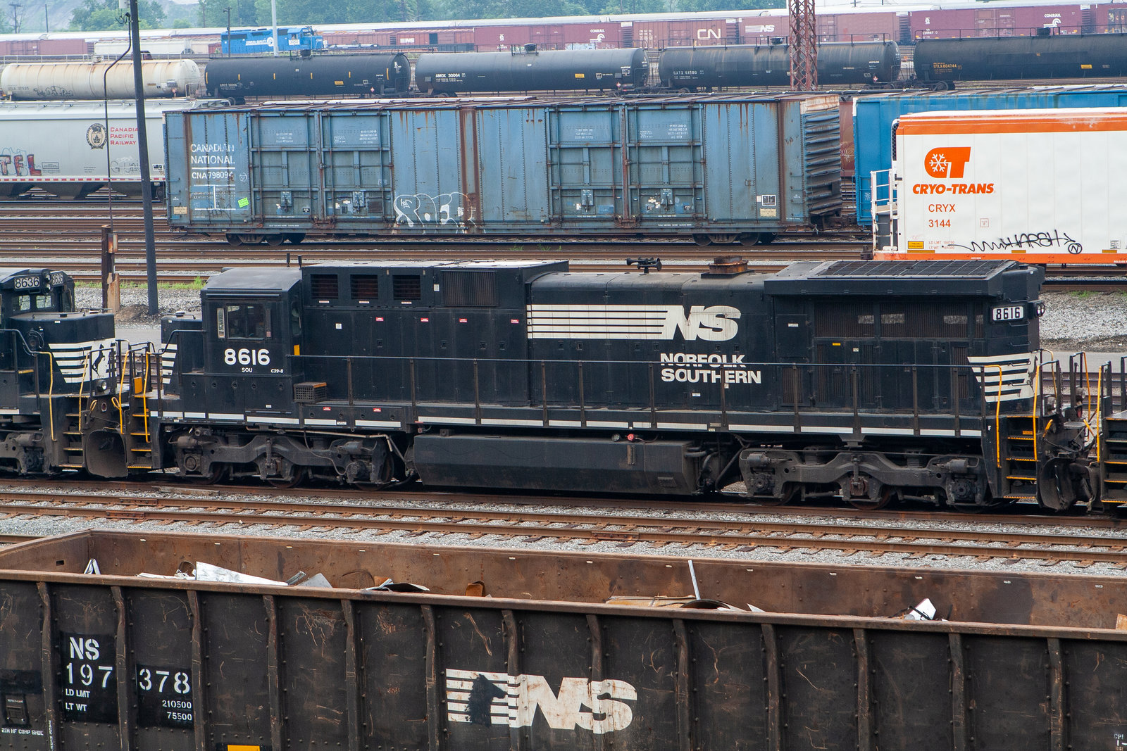 NS 8616