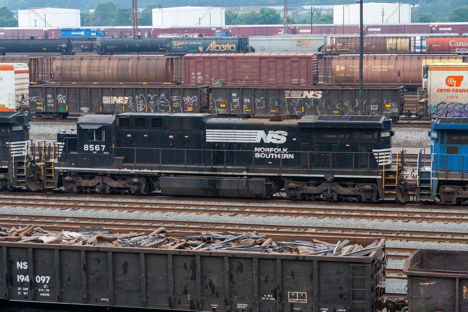 NS 8567