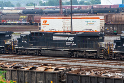 NS 8593