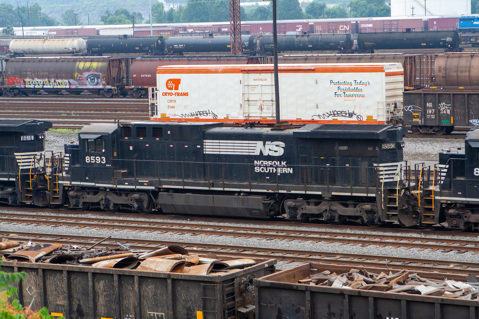 NS 8593