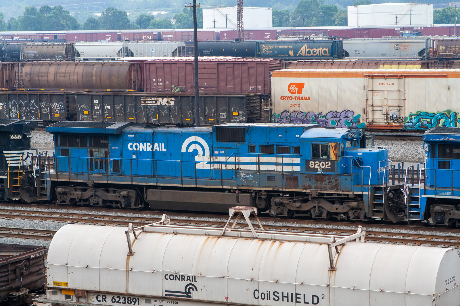 NS 8202