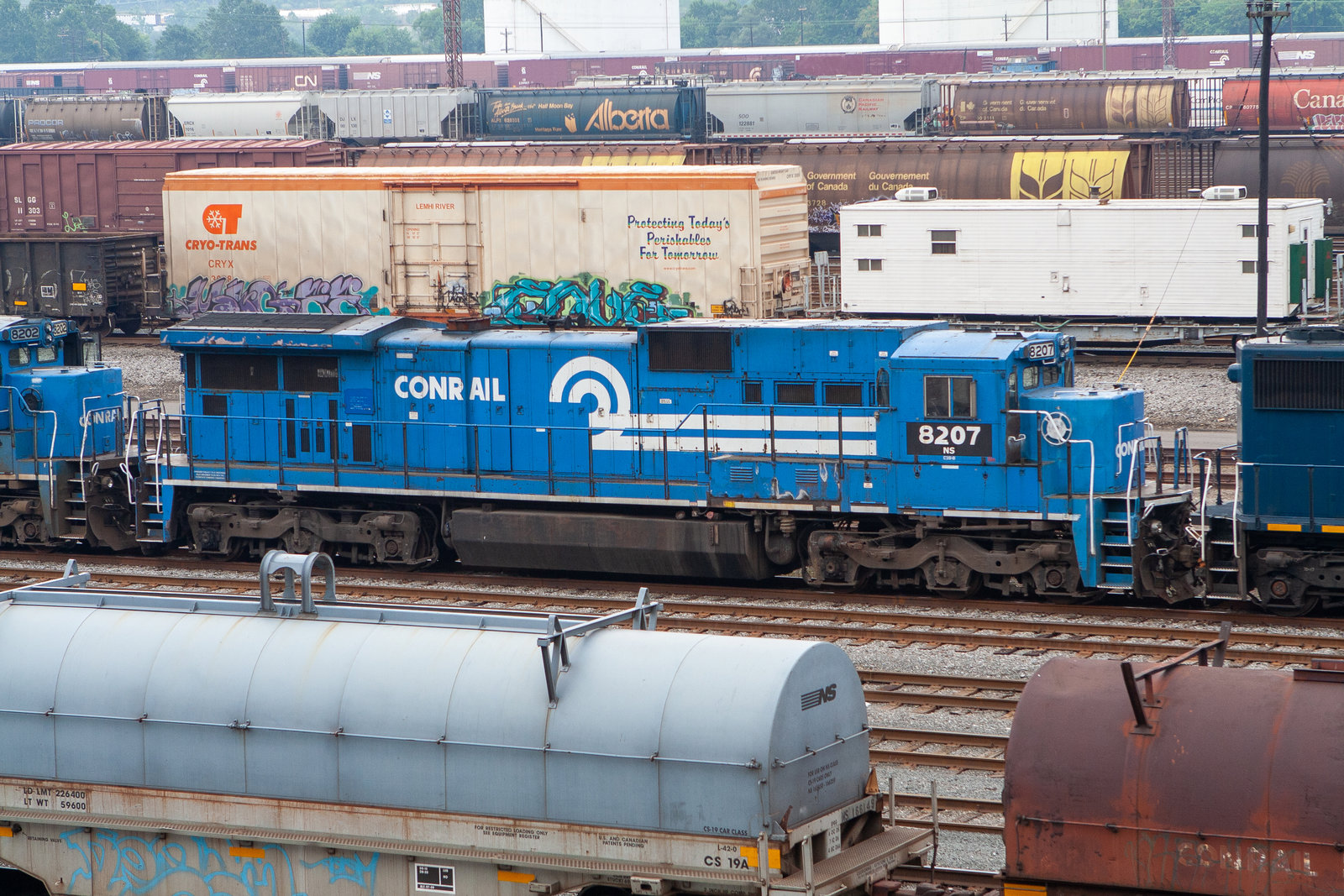 NS 8207