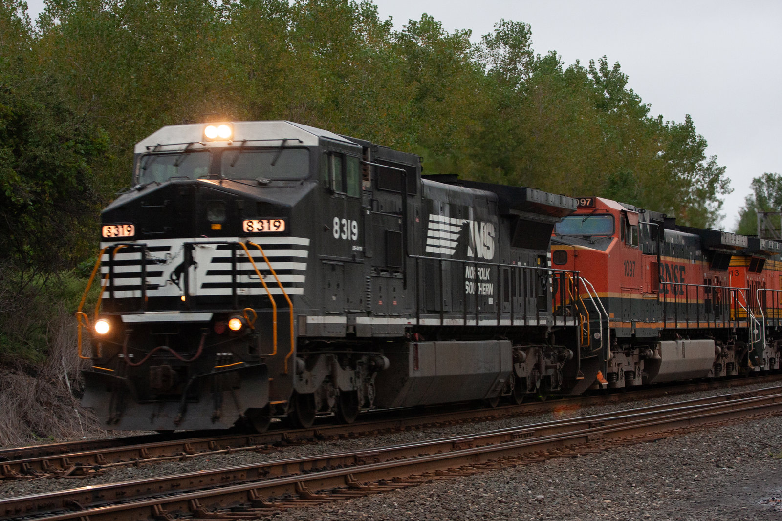 NS 8319