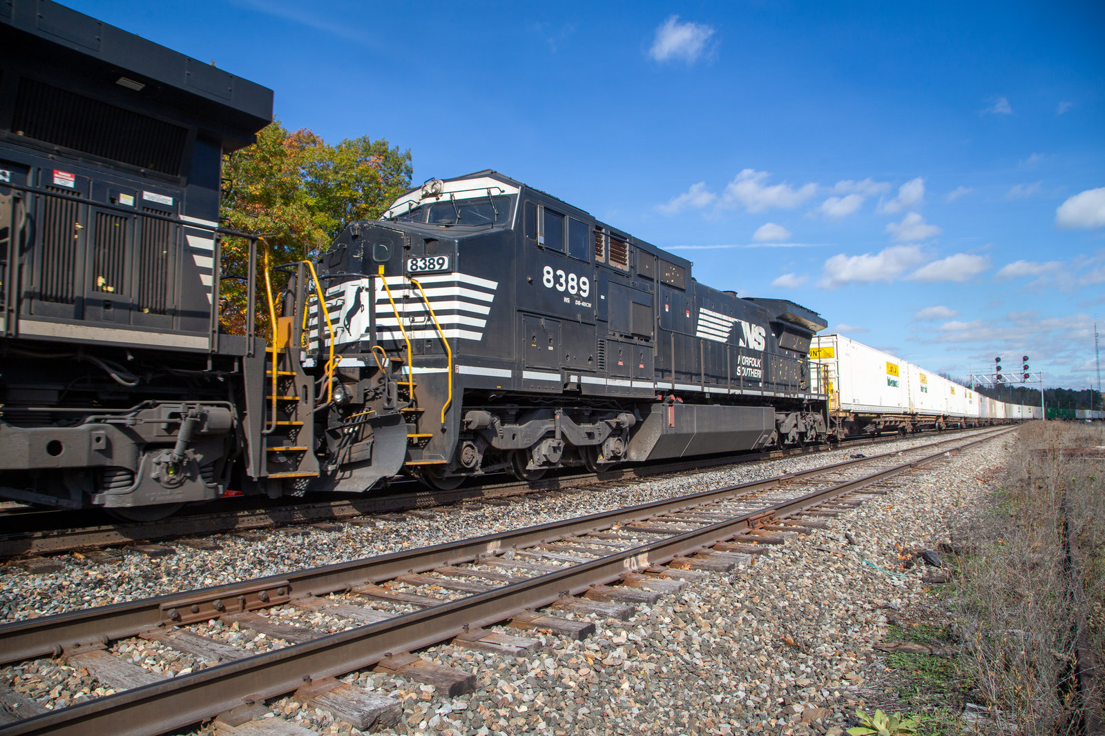 NS 8389