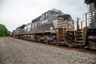 NS 8439
