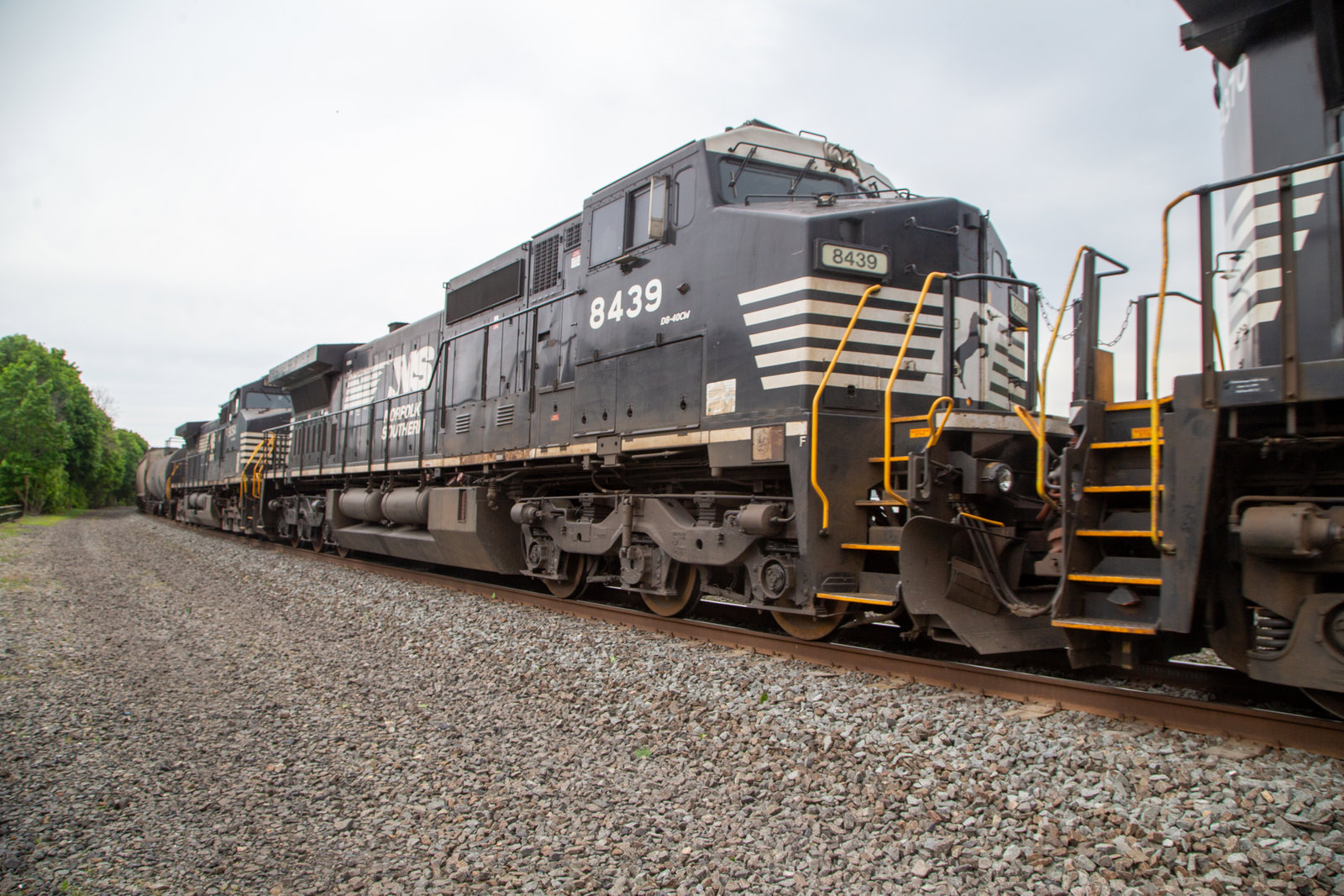 NS 8439