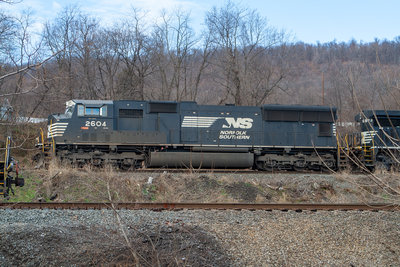 NS 2604