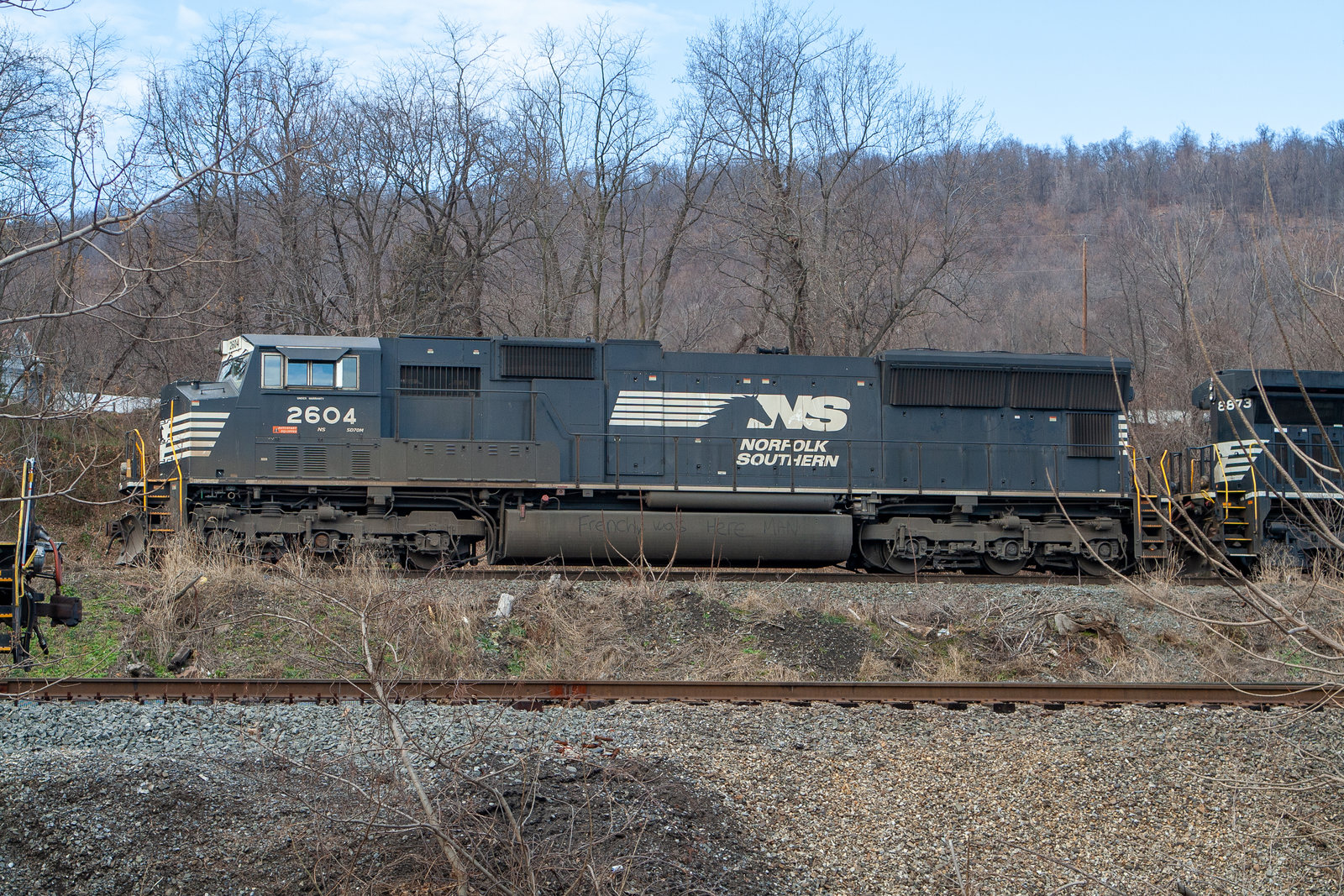 NS 2604