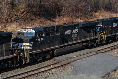NS 7556