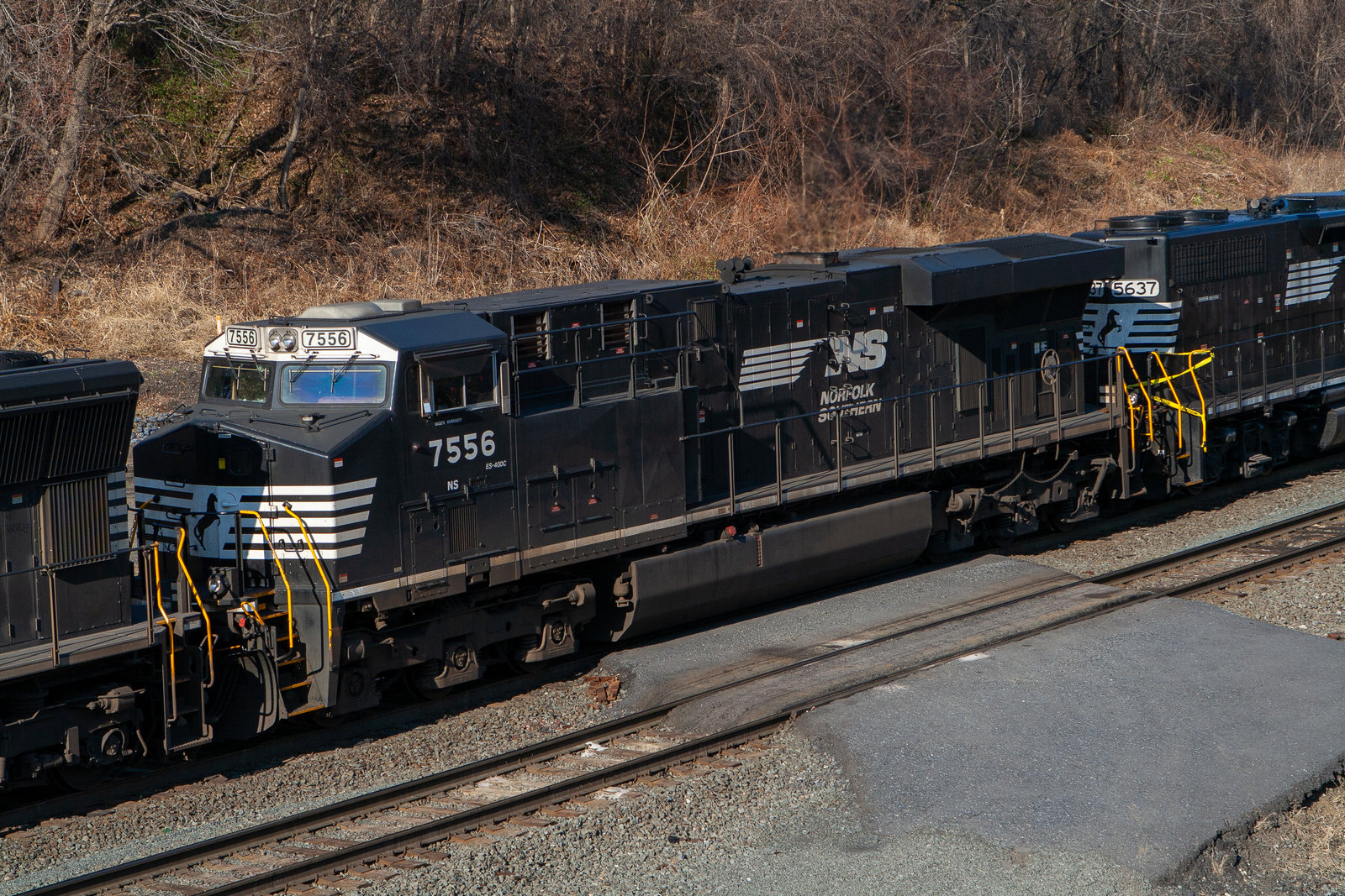 NS 7556