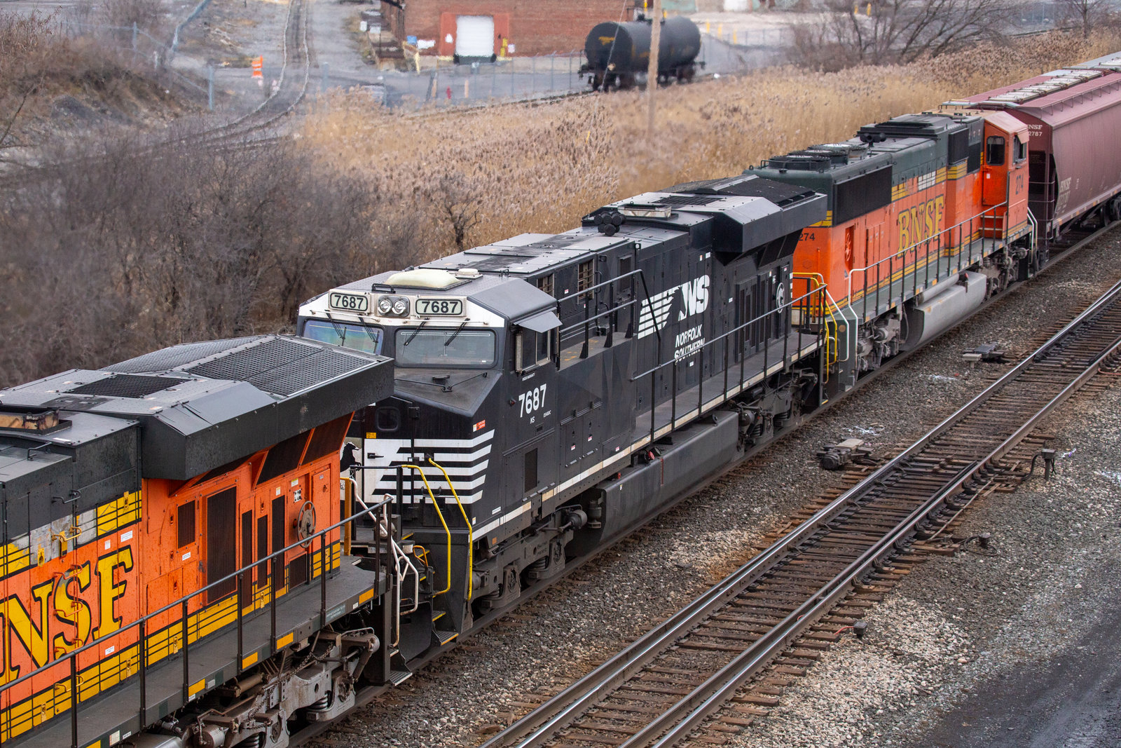 NS 7687