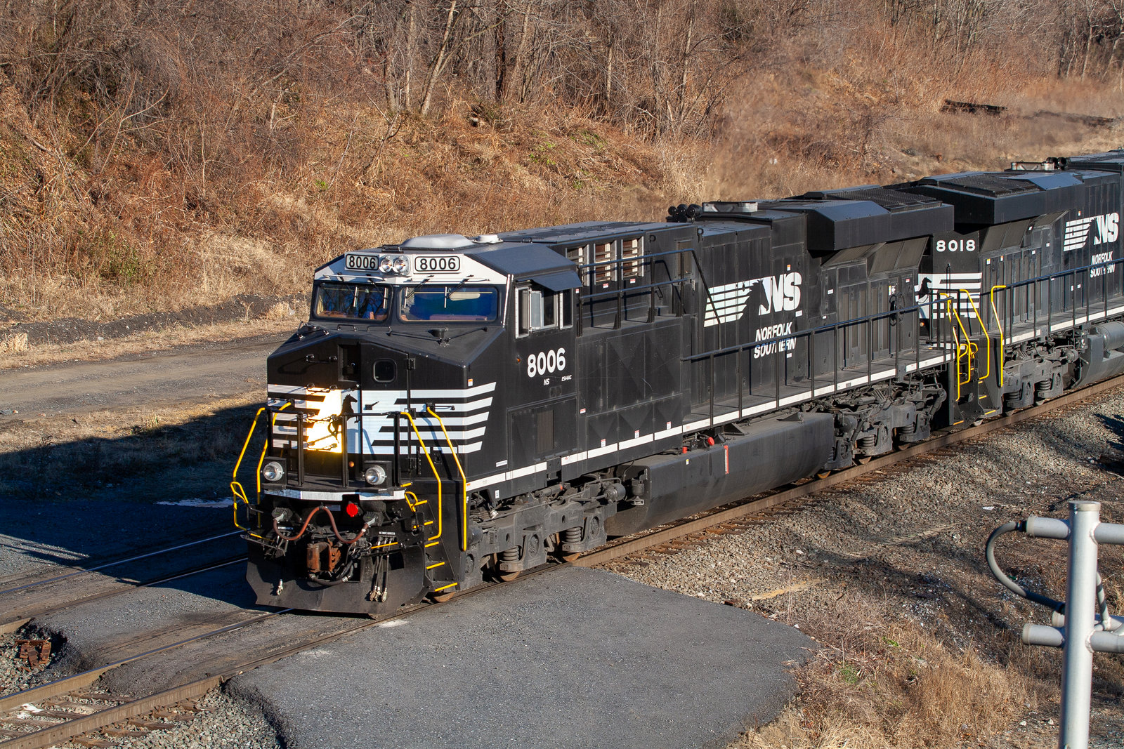 NS 8006