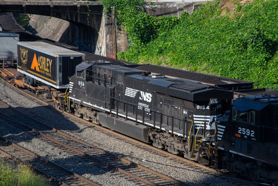 NS 8154