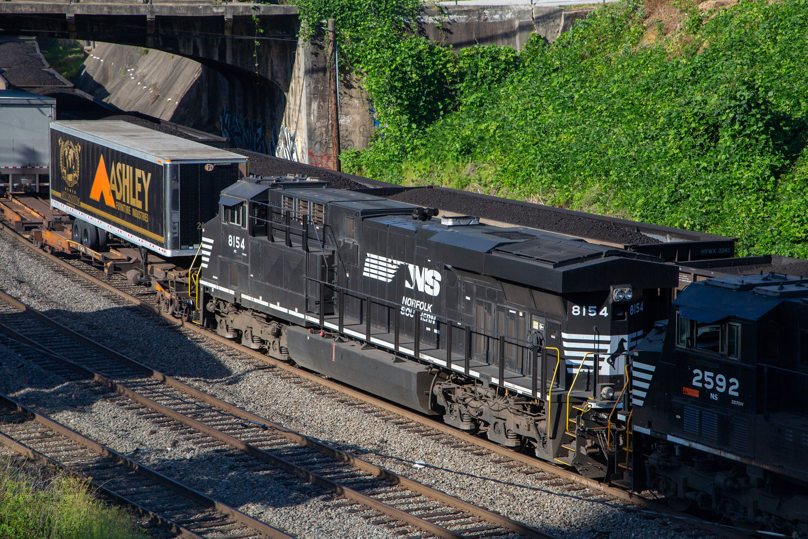 NS 8154