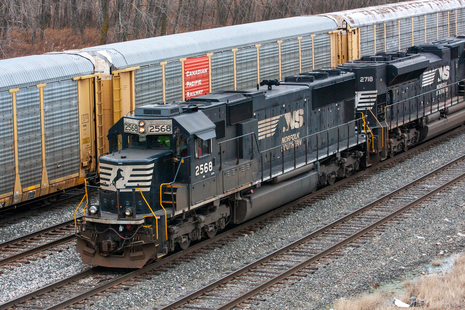 NS 2568