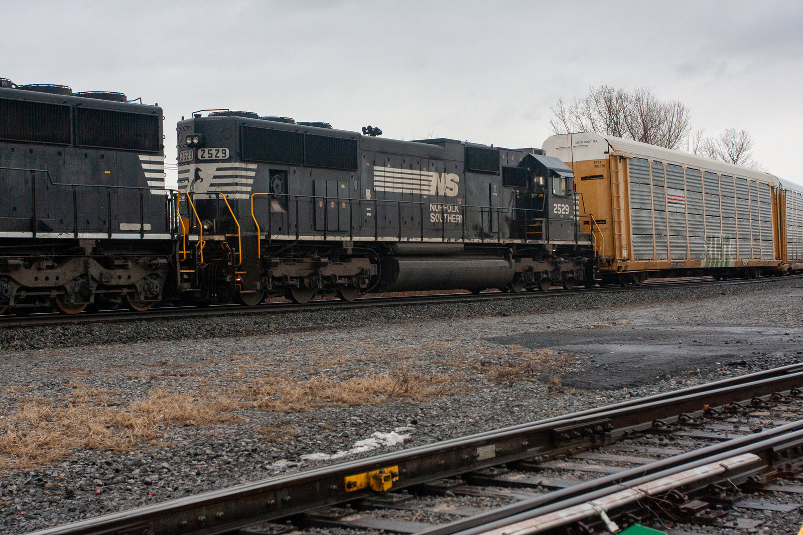 NS 2529