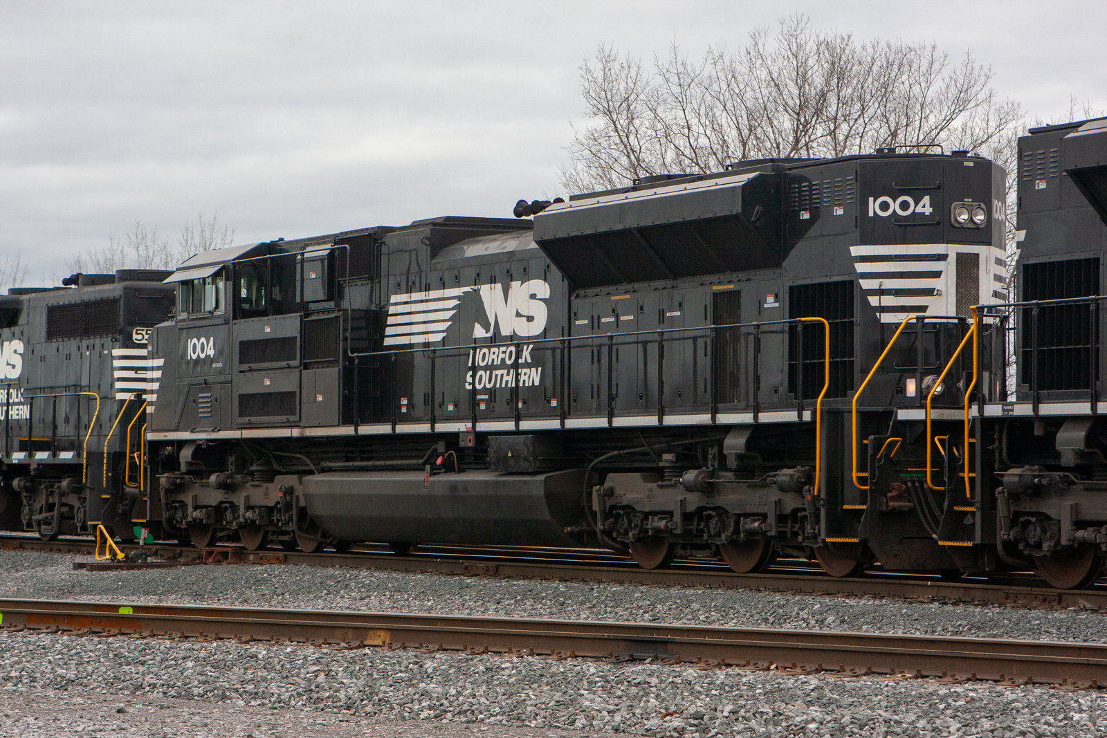 NS 1004