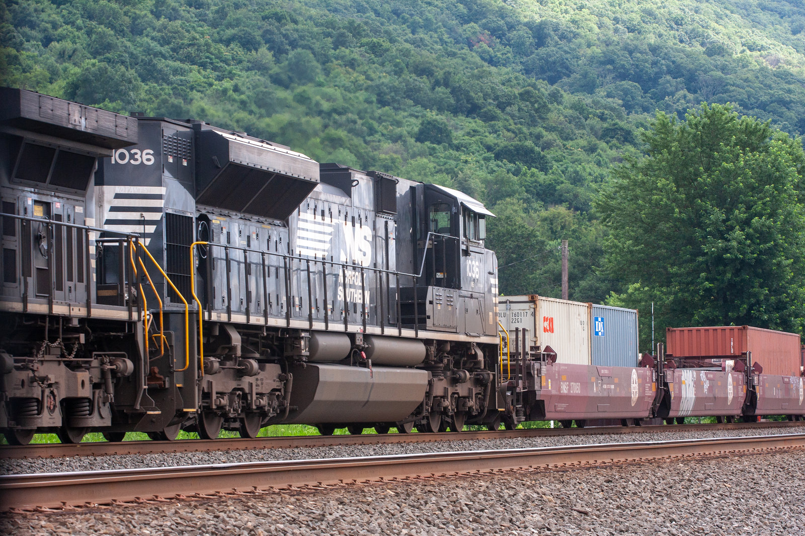 NS 1036