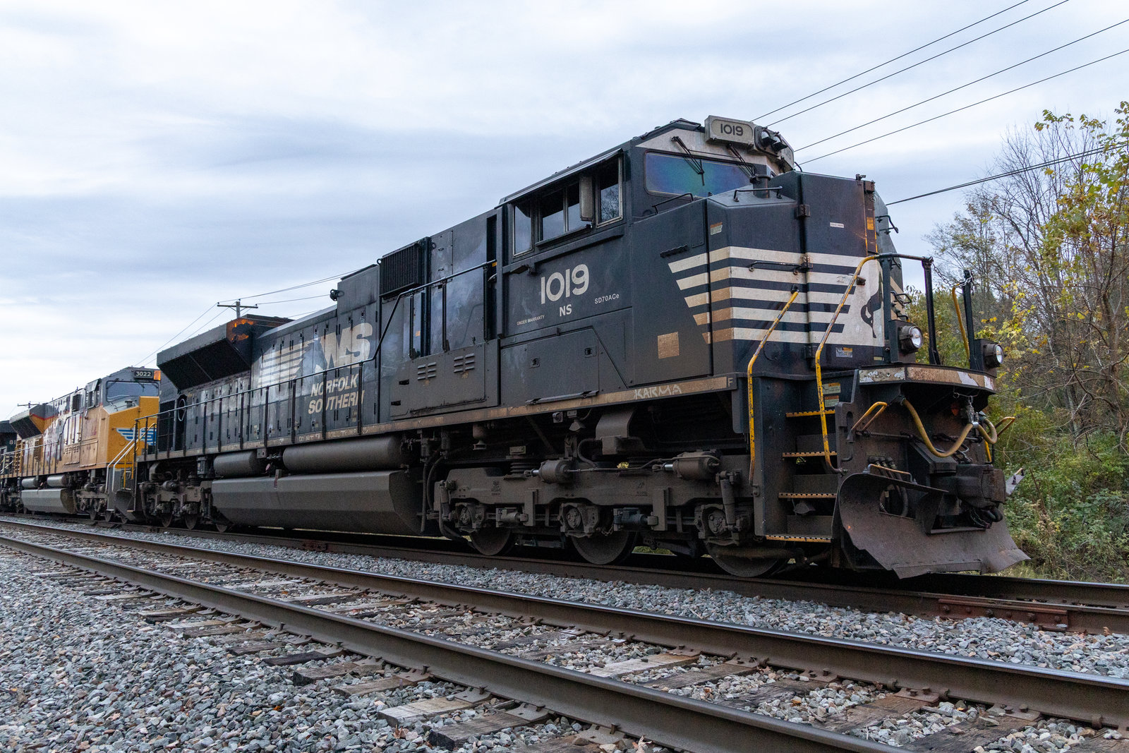 NS 1019
