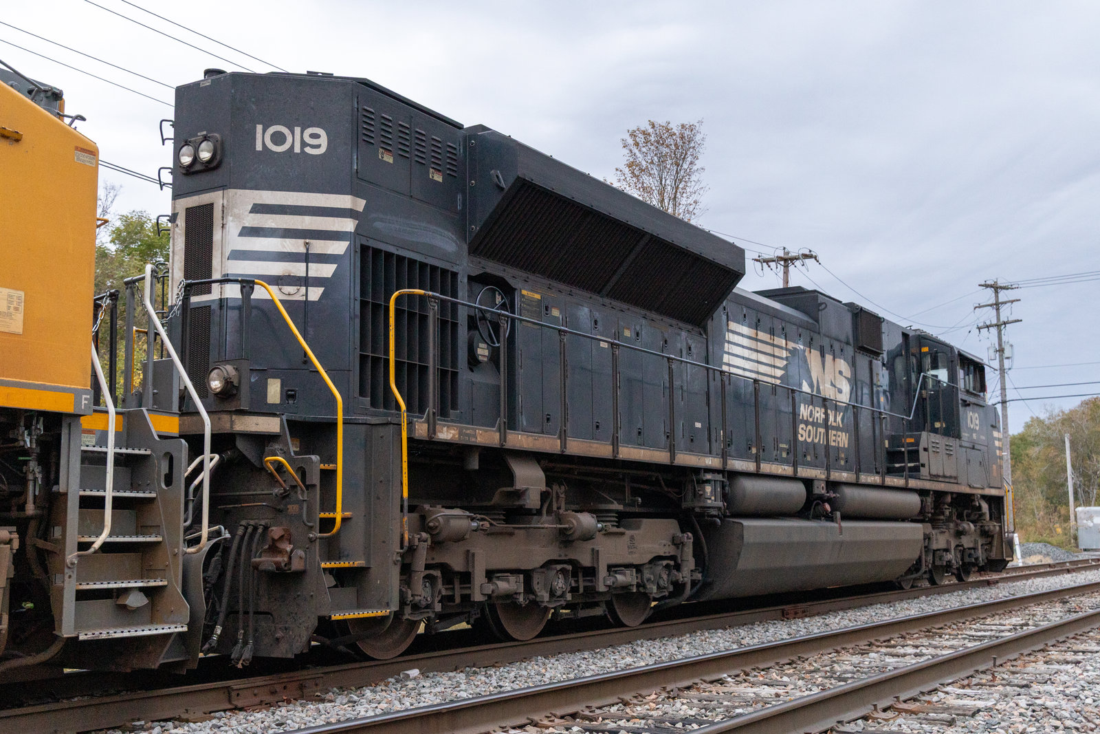 NS 1019