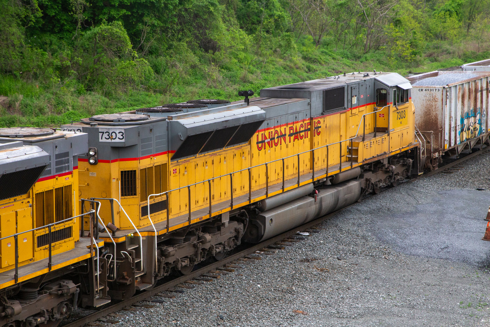 NS 7303
