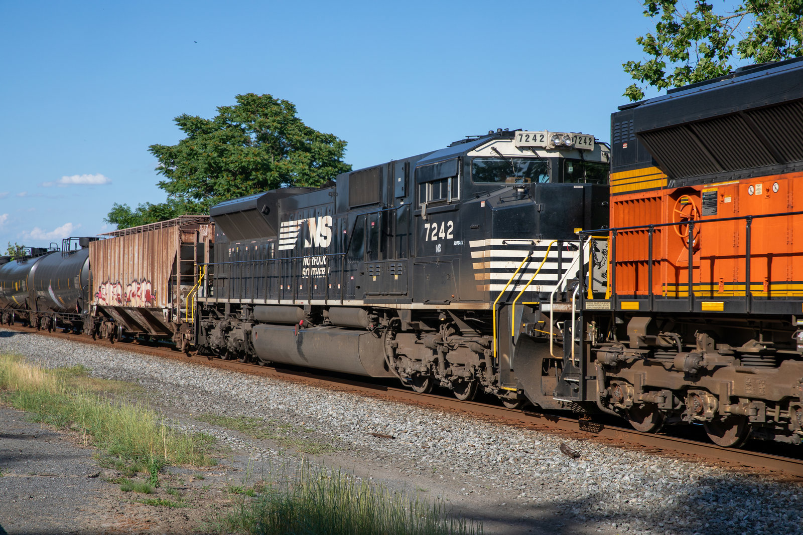 NS 7242
