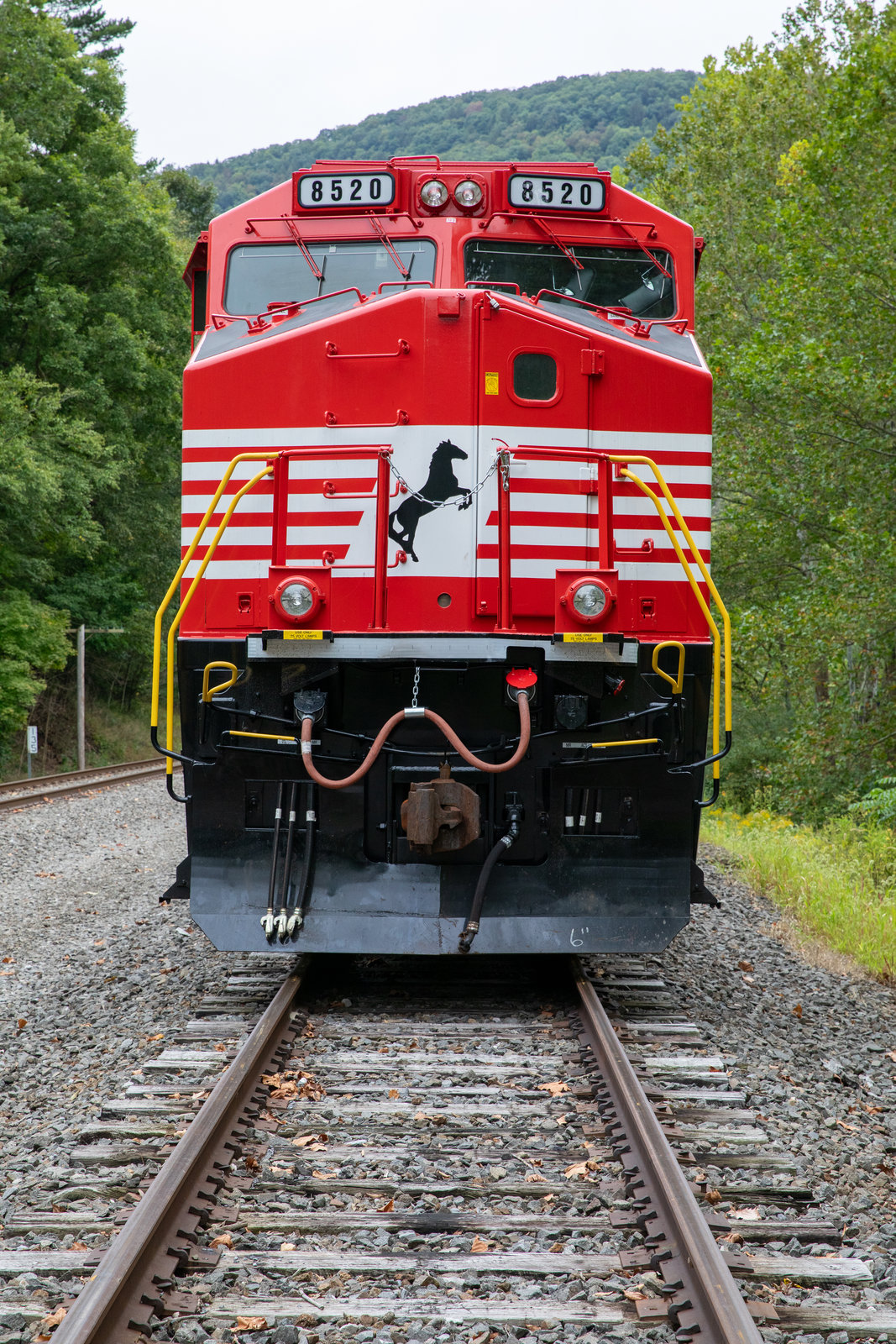 NS 8520
