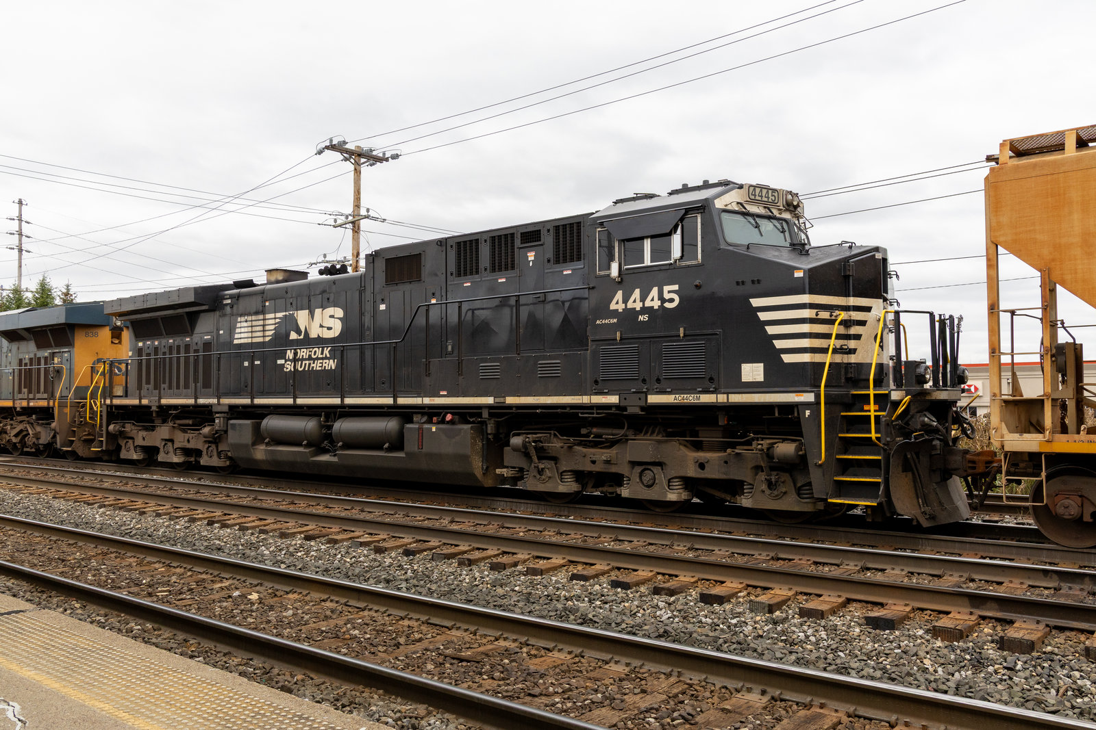 NS 4445