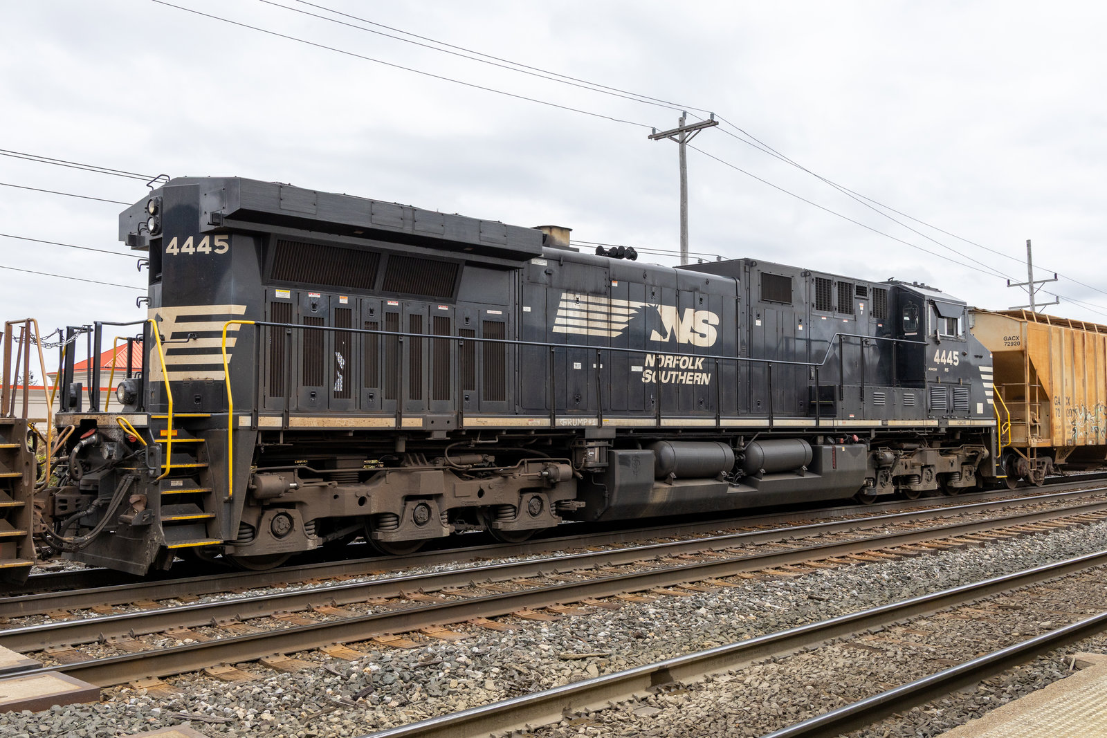 NS 4445