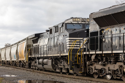 NS 4847