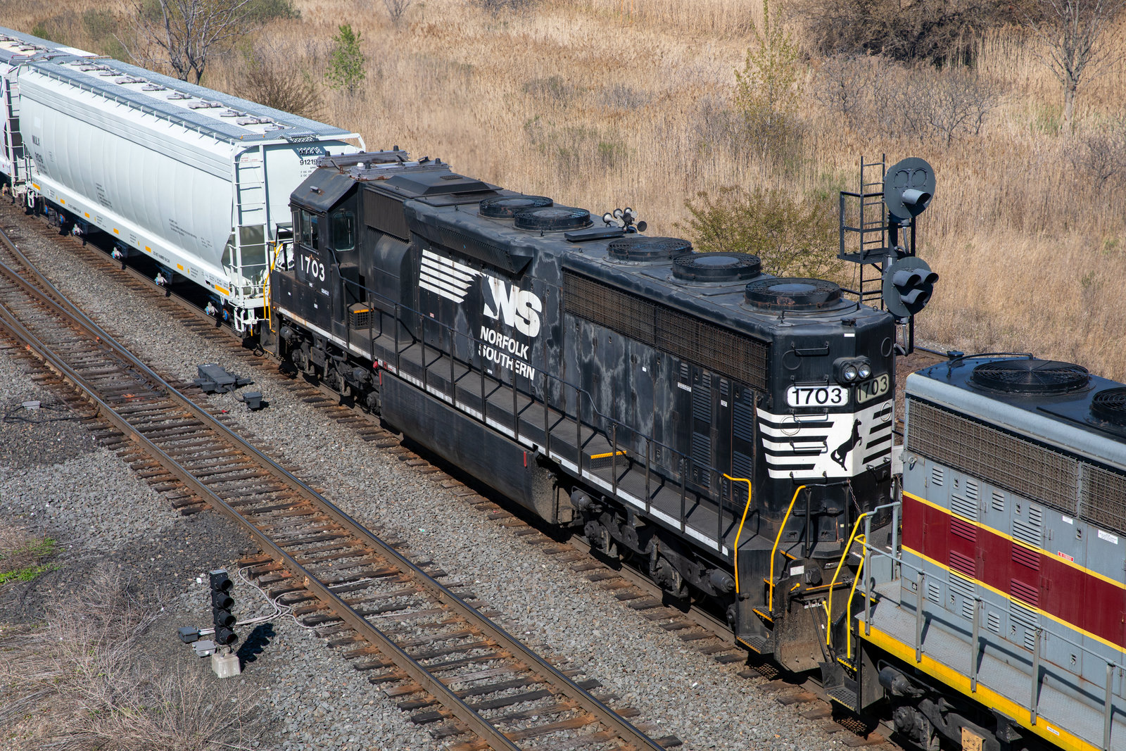 NS 1703