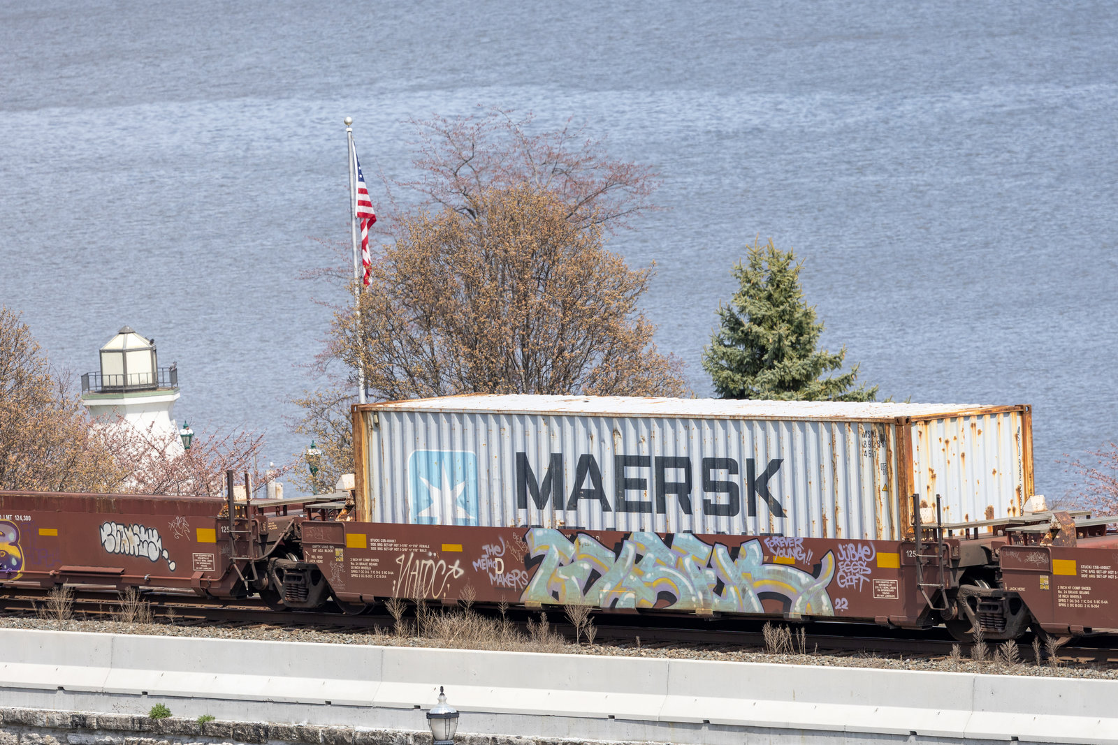 BNSF 239030D